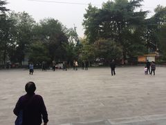 -莲湖公园