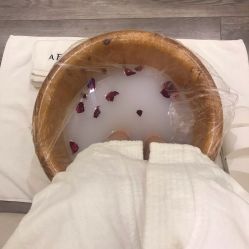 -奥斯芬欧系贵族SPA