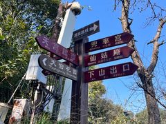 -江西龙虎山景区