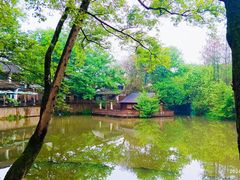 -西溪国家湿地公园