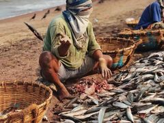 -尼甘布海鲜市场