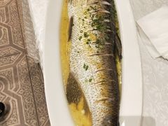 鸡汁大白鱼-颂福楼·南京菜(定淮门店)