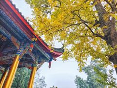 -金堂县云顶石城风景区