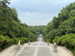 -宜兴龙背山森林公园