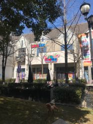 -动力星球家庭亲子游乐中心