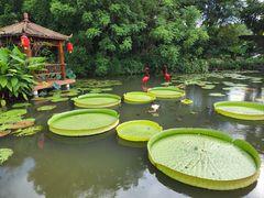-广州莲花山旅游区
