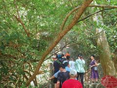 -萝卜潭瀑布群景区