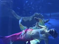 -多彩贵州城极地海洋世界