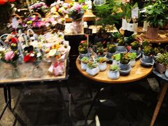 -豆豆花艺(新光天地店)