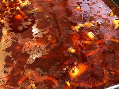 跳水兔-自贡好吃客(科华店)