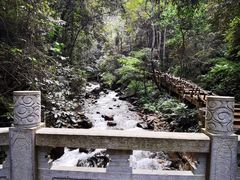 -江西阳明山国家森林公园