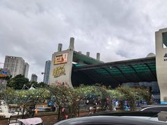 -合肥海洋世界