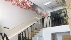 -麗宫轻医美·问题肌肤管理中心