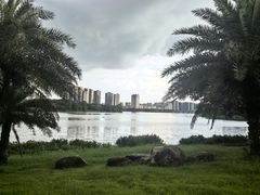 -飞来湖湿地公园