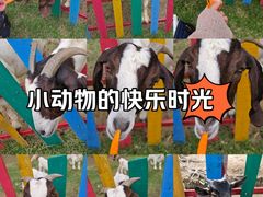 -广东花都香草世界旅游度假区