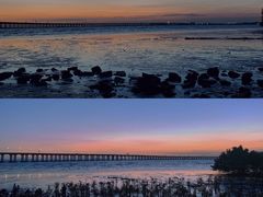 -宝安西湾红树林湿地公园