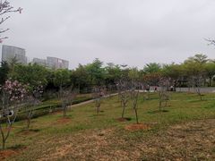 -聚龙山公园