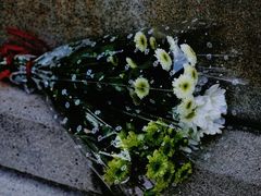 -烈士陵园(地铁站)