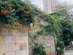 -回龙窝历史文化街区