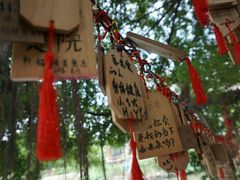 -小洲村