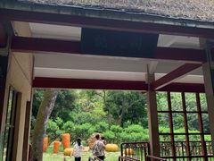 -桃花涧