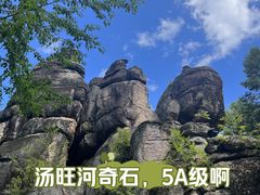 -嘉荫恐龙国家地质公园