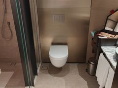 -新加坡瑞士史丹福酒店