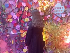 -柴犬高等学院·狗咖·柴犬售卖·宠物训练