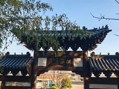 -云龙山