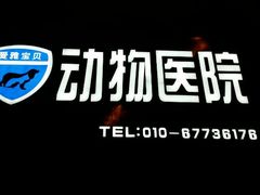 android_upload_pic-中农大我爱我爱24h动物医院·中医针灸·猫专科·骨科医疗中心(双井店)