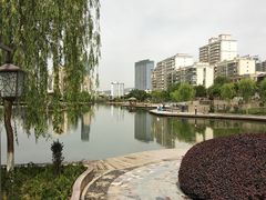 -雁滩公园
