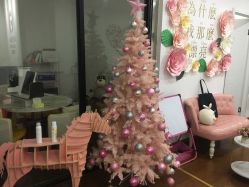 -Lab Season惜辰颜究社