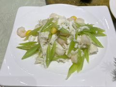 -丁老爷子苏香圆