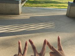 -厦门园林博览苑