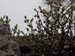 -颐和园