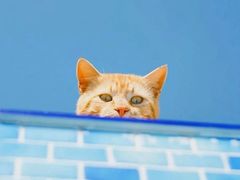 -C&A(新田360广场店)