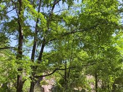 -秦岭终南山世界地质公园翠华山景区