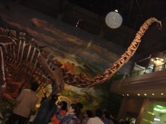 -自贡恐龙博物馆
