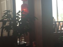 -朝馆·市井本味菜