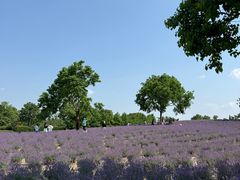 -秀沿路(地铁站)