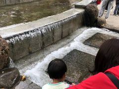 -三水森林公园
