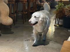 -咖法森林·咖啡  酒吧(天河店)