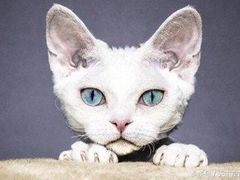 -六朝居老面馆(同鑫宾馆店)