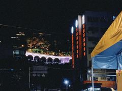 -菜园坝水果市场