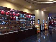 -华谊兄弟影院(北京洋桥店)