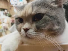 -藦茜花园宠物主题亲子互动体验馆(国顺东路店)