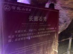 -寻龙山风景旅游区