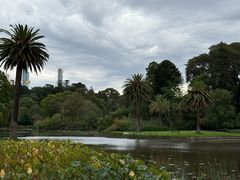 -墨尔本皇家植物园