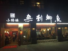 -小杨妹无刺鲫鱼(都市花园店)