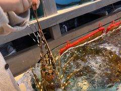 -粤盛海鲜楼(融冠乐城店)